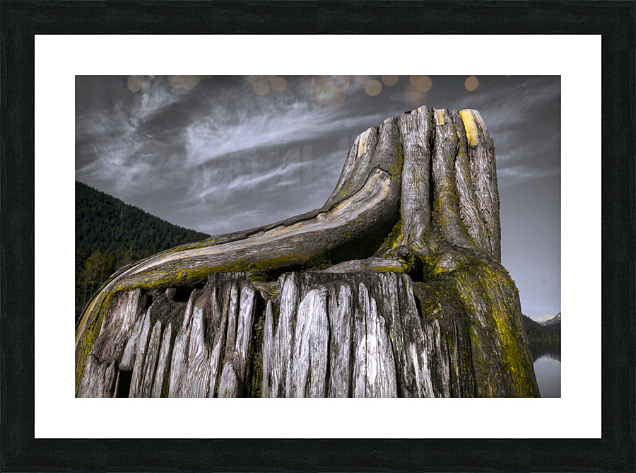 FS130219A Picture Frame print