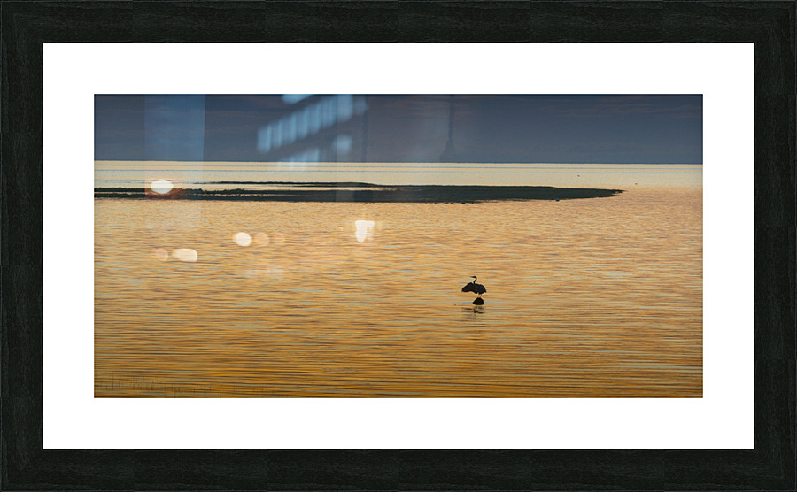 20210617 108 Picture Frame print