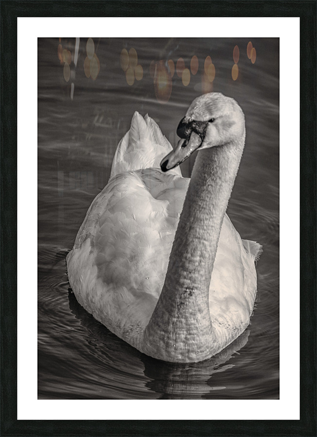 FS210303 150 Picture Frame print
