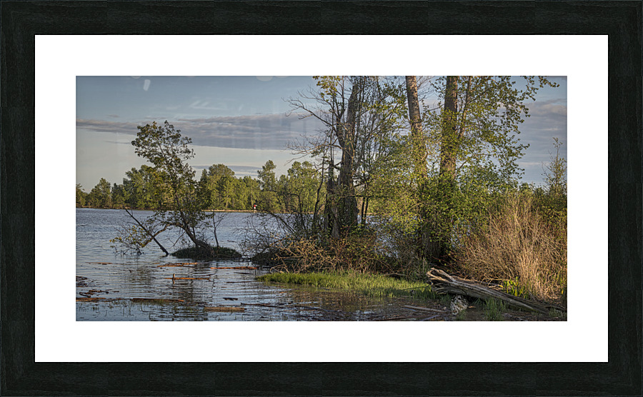 FS230507 Picture Frame print