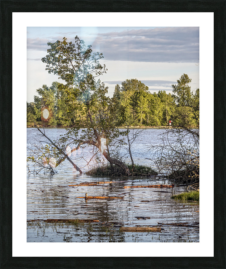 FS230507 003 Picture Frame print
