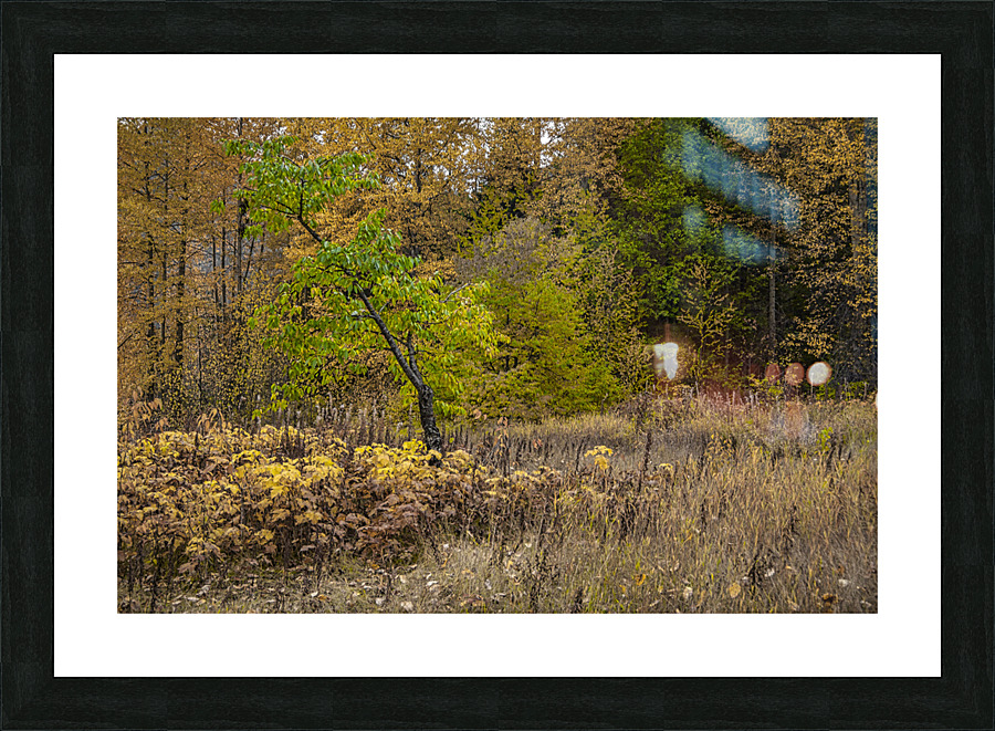 FS071014 02 Picture Frame print