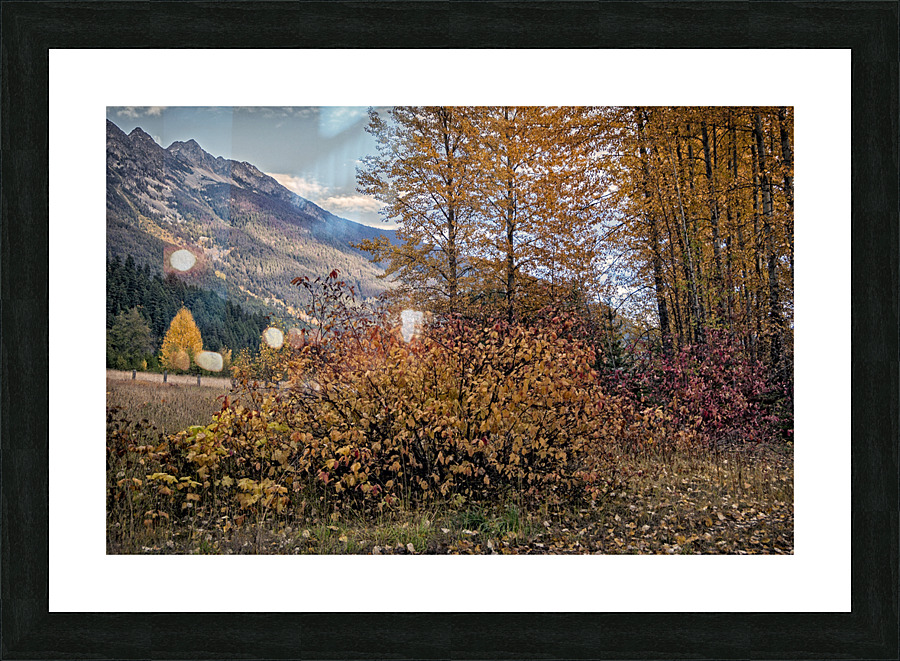 AUTUMN SCENE 秋季場景 Picture Frame print