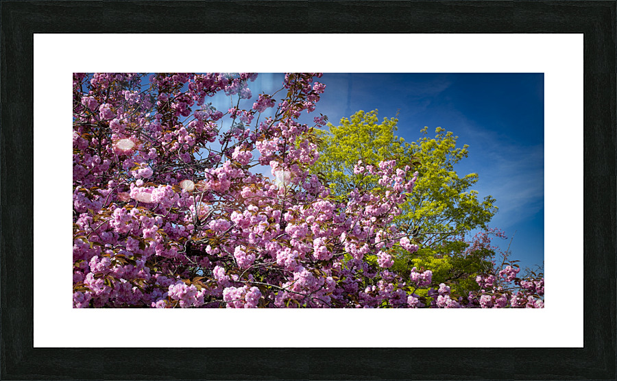 FS230502 Picture Frame print