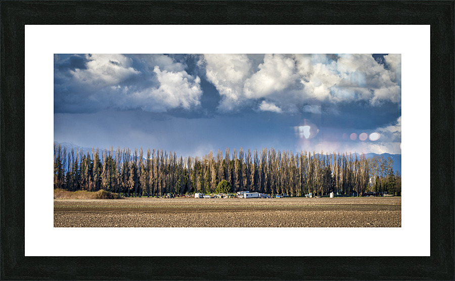 FS230419 185 Picture Frame print