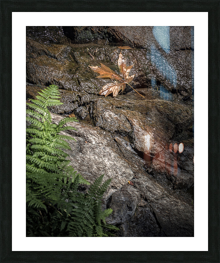 FS170725A Picture Frame print