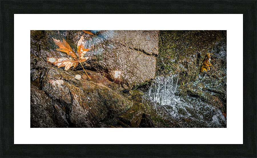 FS170725 026 Picture Frame print