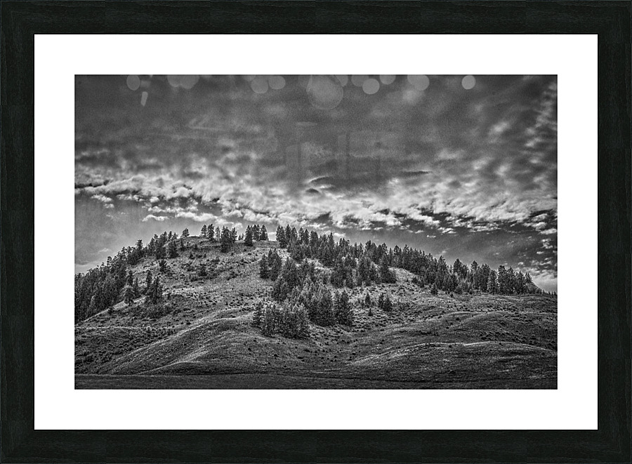 FS080518BW2 Picture Frame print