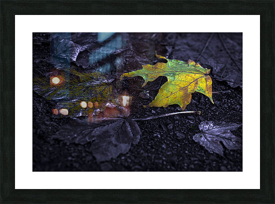 FALLEN LEAVES Picture Frame print