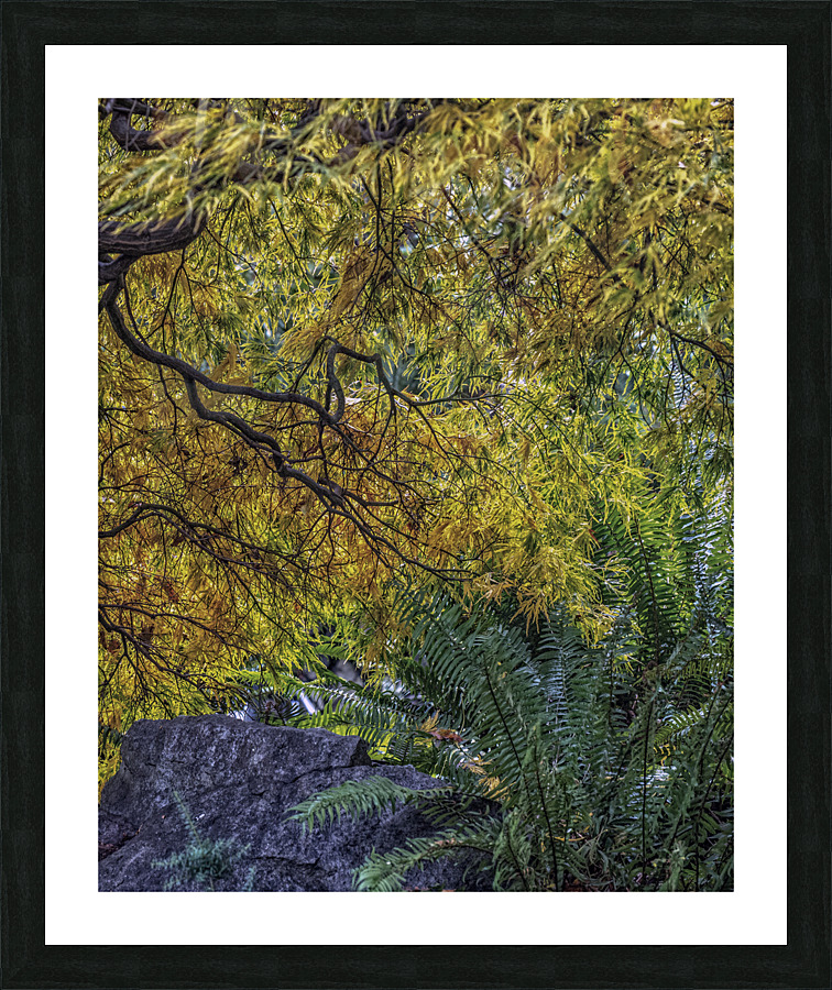 FS171022 02 Picture Frame print