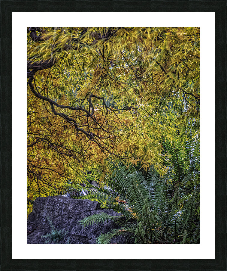FS171022 03 Picture Frame print