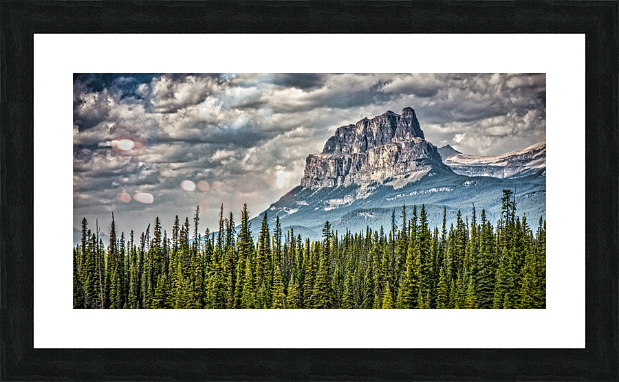 FS170901DW3 Picture Frame print