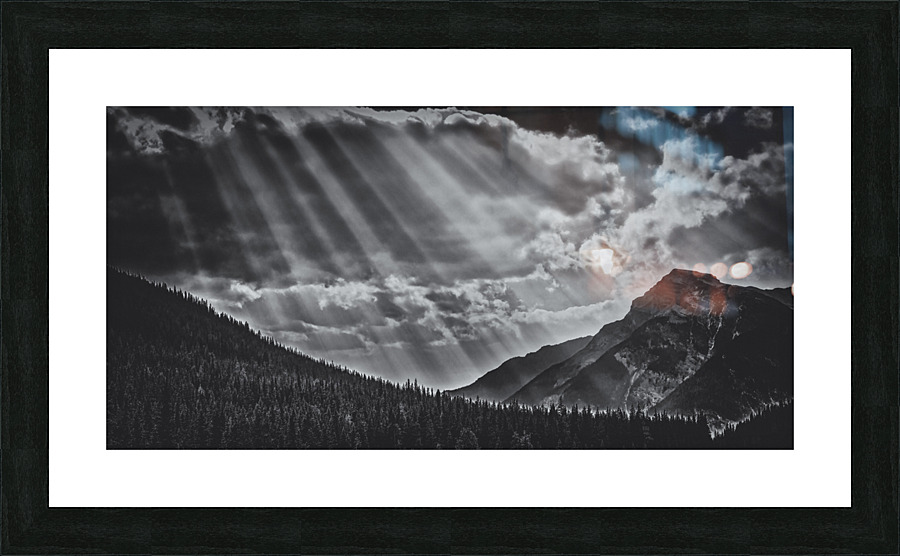 FS170901DW4 Picture Frame print