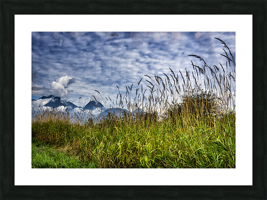 FS170912 01 Picture Frame print