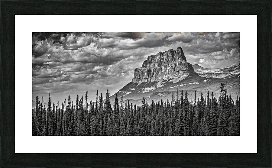 FS170901DW3 Picture Frame print