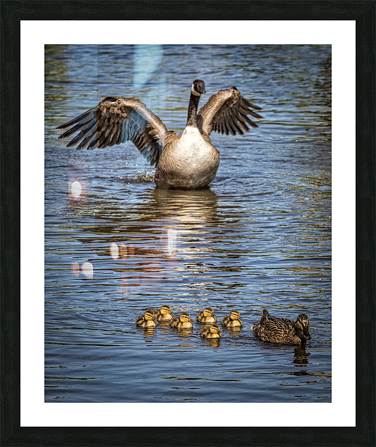 FS230605 Picture Frame print