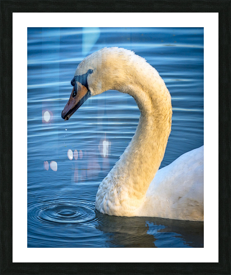FS230602 Picture Frame print