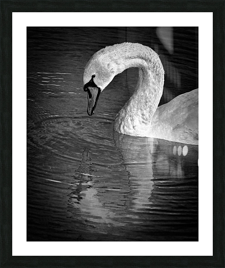 FS230602 190 Picture Frame print