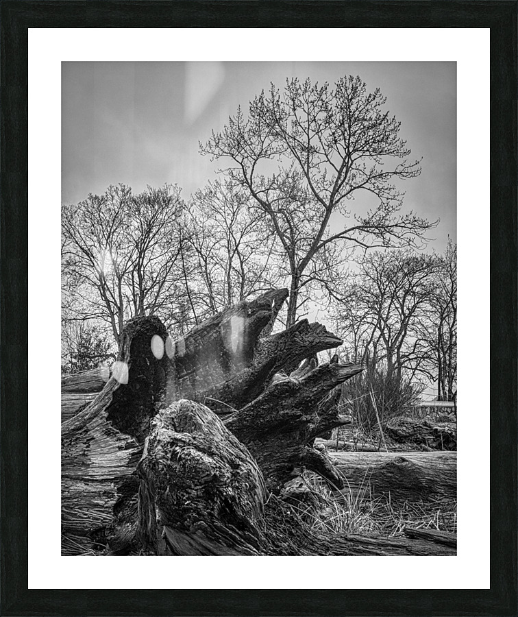 FS120331 01 Picture Frame print