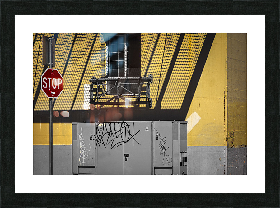 FS140625B Picture Frame print