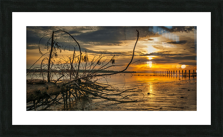 20150326 347 Picture Frame print