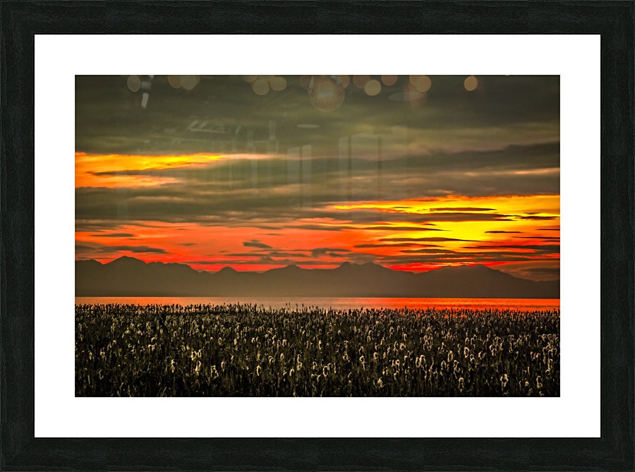 FS 150305 Picture Frame print