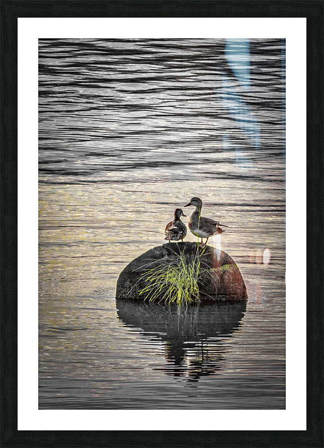 FS230618 02 Picture Frame print