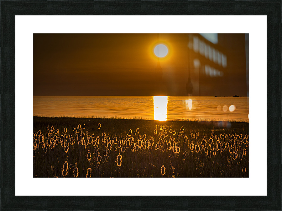 FS230607 Picture Frame print