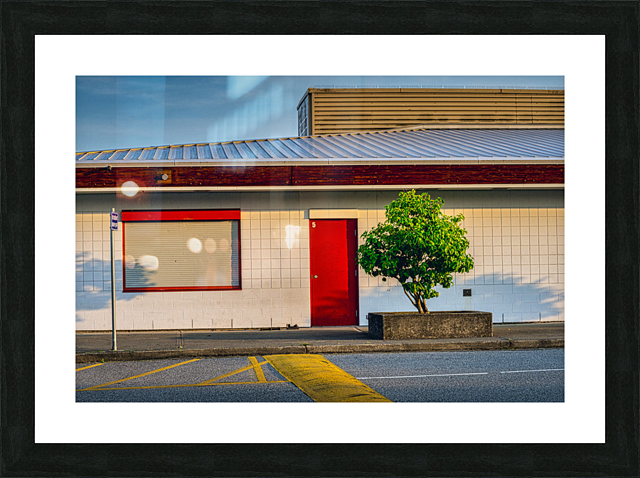 FS230623 Picture Frame print