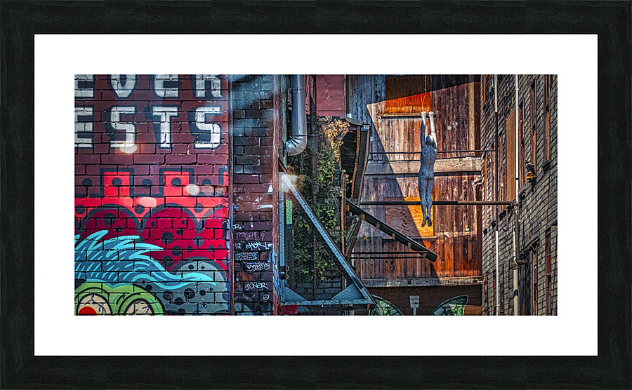 FS140824 0 Picture Frame print