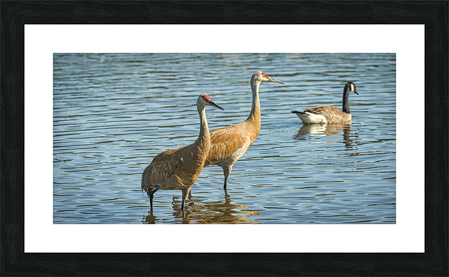 20230702 Picture Frame print