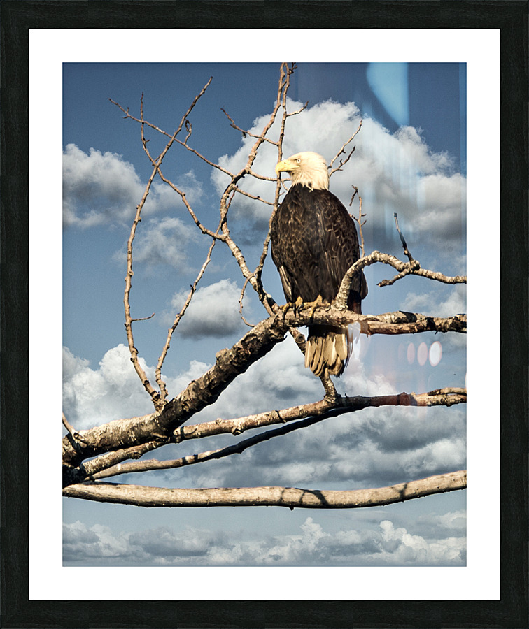 FS230630 03 Picture Frame print