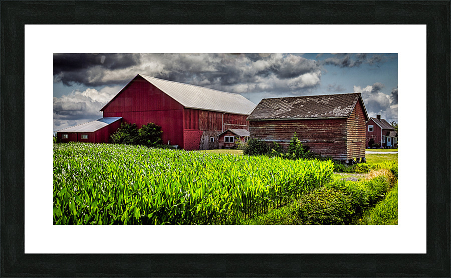FS230703 Picture Frame print
