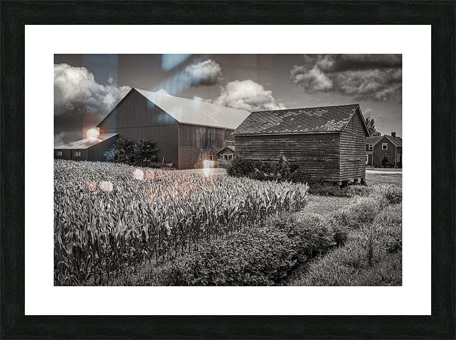 FS230703BW Picture Frame print