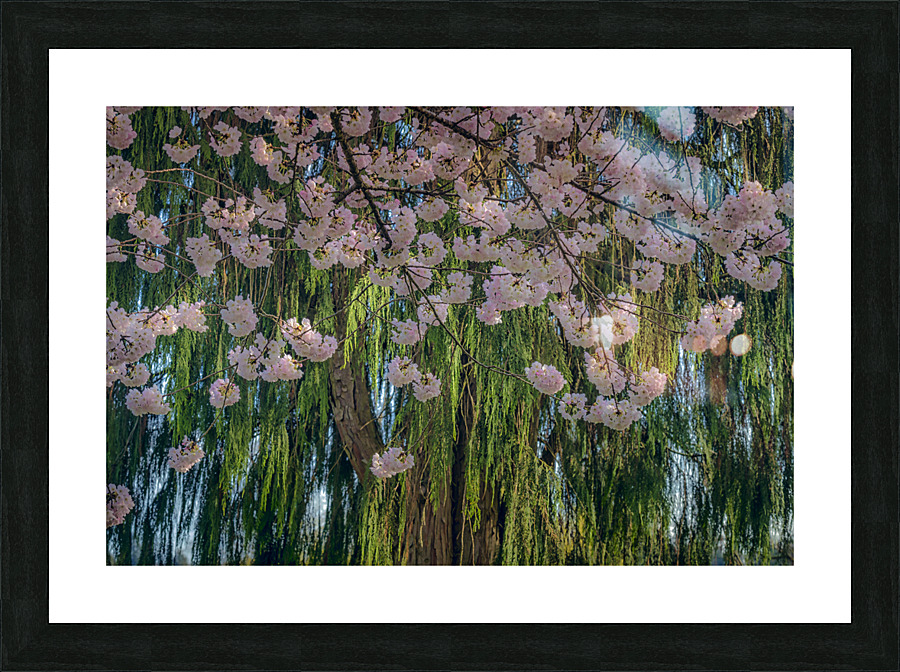 FS220329 Picture Frame print
