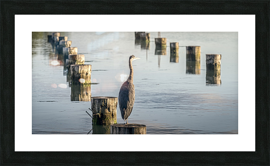 FS230716DW Picture Frame print