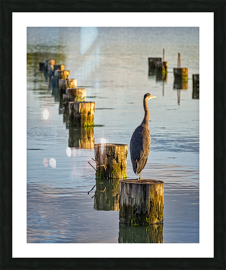 20230716 345 Picture Frame print