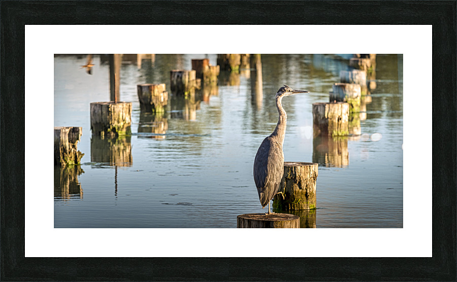 FS230716 3 Picture Frame print