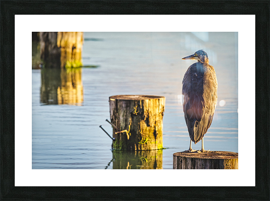 FS230716 2 Picture Frame print