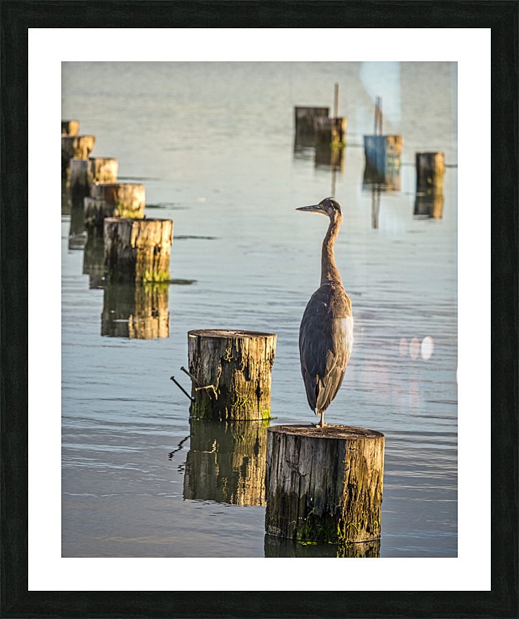 FS230716 1 Picture Frame print