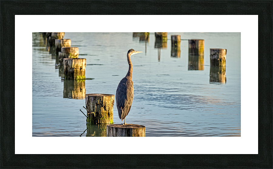 FS230716 5 Picture Frame print