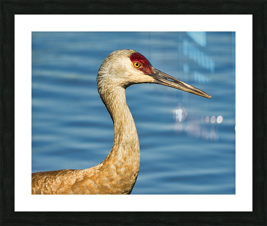 FS230702 4 Picture Frame print