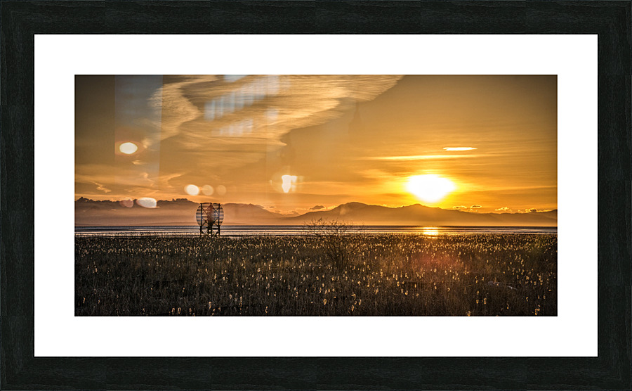 FS170319DW Picture Frame print