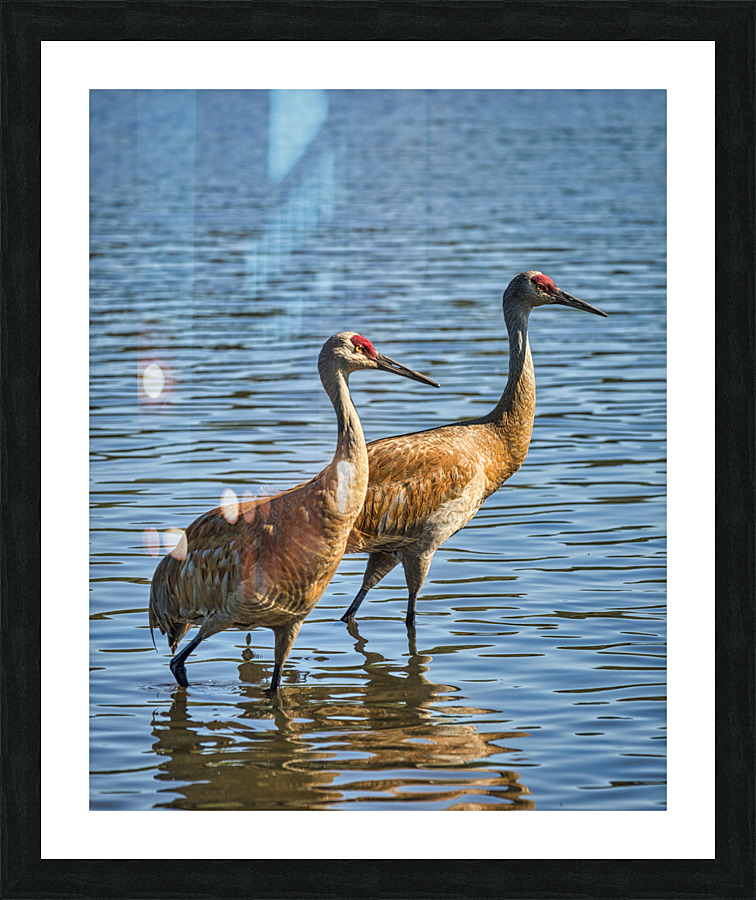 20230702 117 Picture Frame print