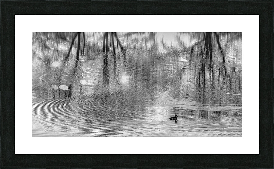 FS230104BW2 Picture Frame print