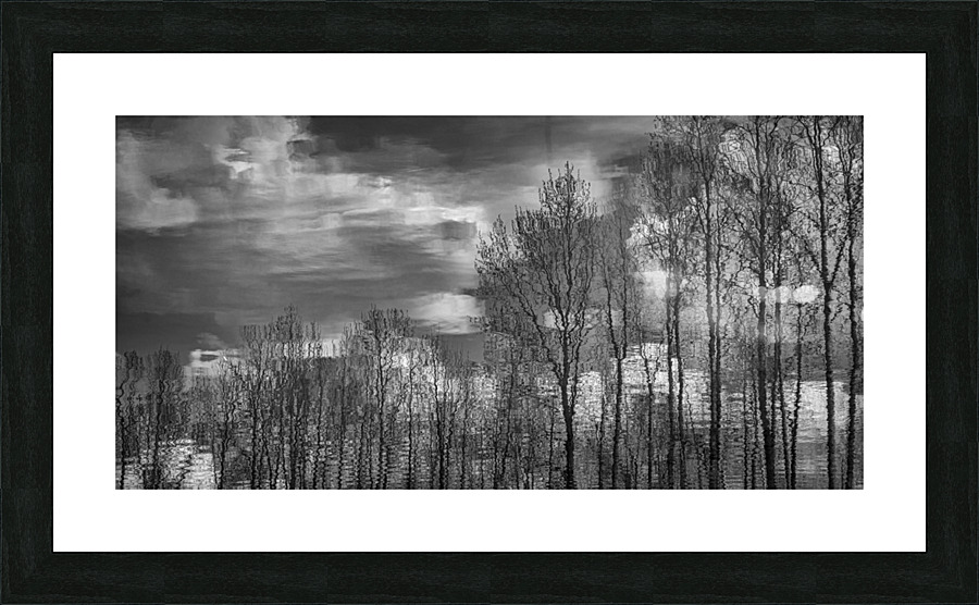 FS230401 074BW Picture Frame print