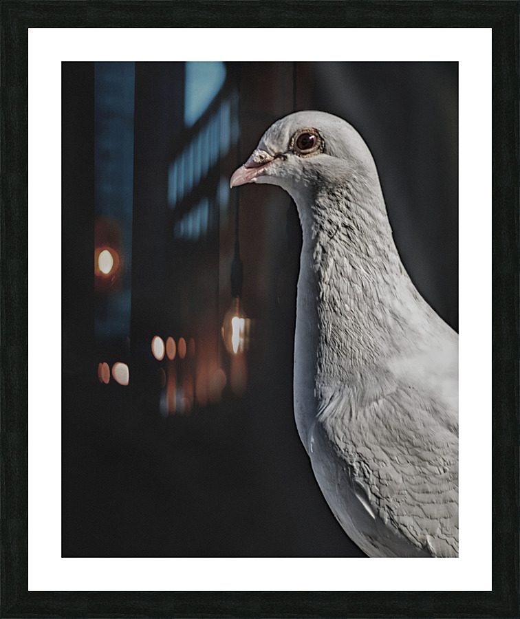 FS230726 174 Picture Frame print