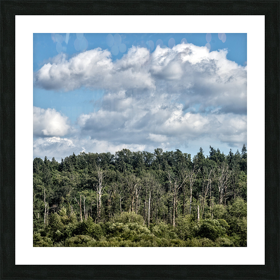 FS230726S Picture Frame print