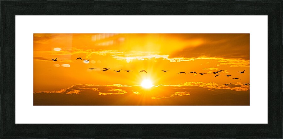 FS180304P  Picture Frame print