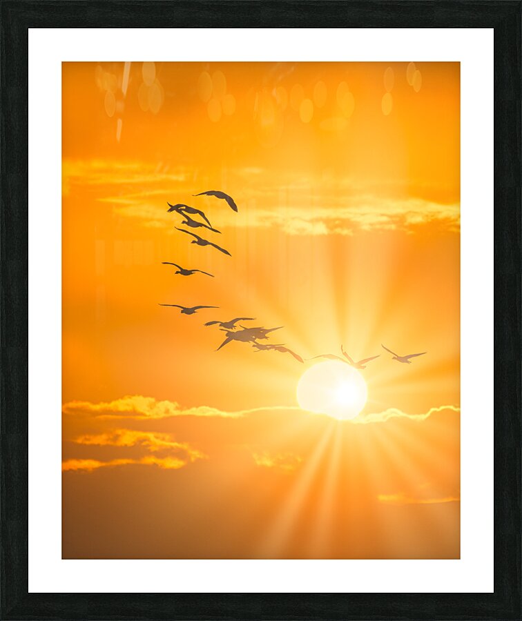20180304 112  Picture Frame print